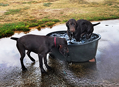 Alice and Luna - water activity..